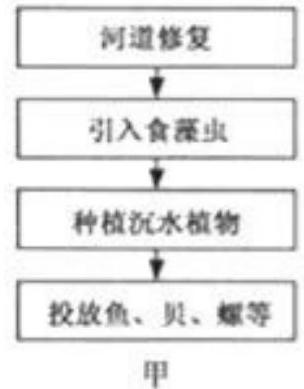 mp_77f9c7caf6.jpg