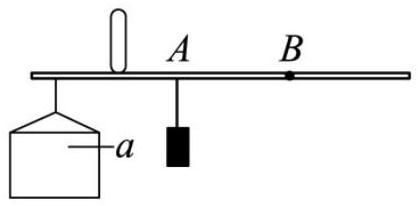 mp_78361f7891.jpg
