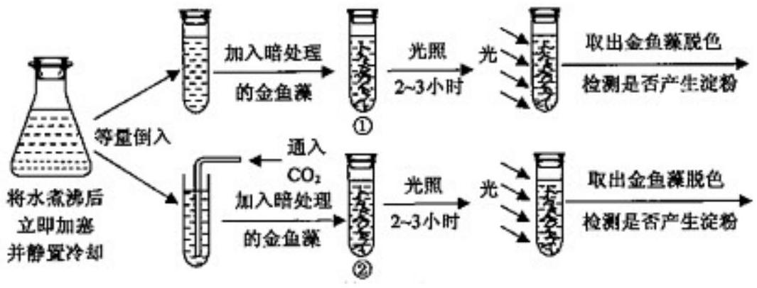 mp_7898402ea6.jpg