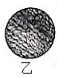 mp_78a3e486e0.jpg