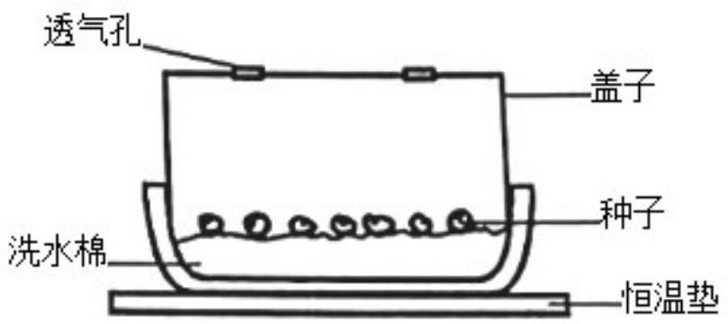 mp_796c81b11a.jpg