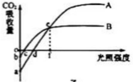 mp_799a527054.jpg