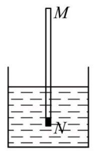 mp_7bf98453fe.jpg