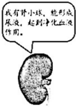 mp_7c64bf9d2a.jpg