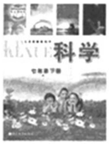 mp_7c6926ed90.jpg