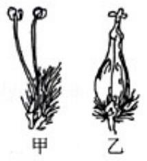 mp_7d7b28f3f4.jpg