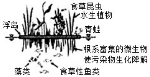 mp_7df8ae956d.jpg