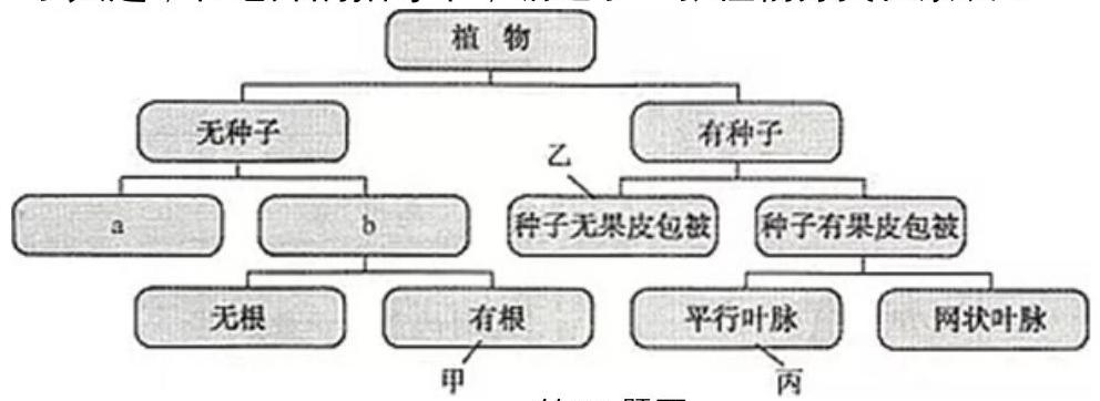 mp_809adb50b8.jpg