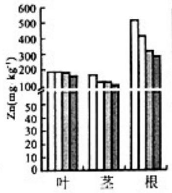 mp_80e1b9a2b9.jpg