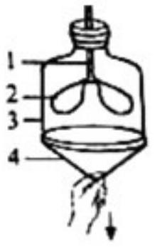 mp_810b3bee13.jpg
