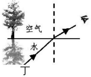 mp_81432b609a.jpg