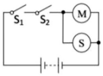 mp_82b5aa82fc.jpg