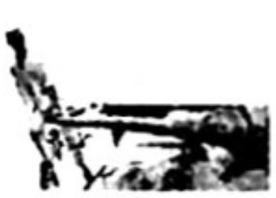 mp_838c607523.jpg