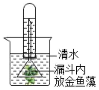mp_8409441993.jpg
