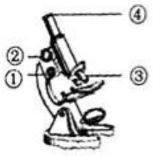mp_840f3f7fd1.jpg
