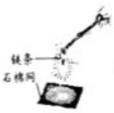 mp_85046d8316.jpg