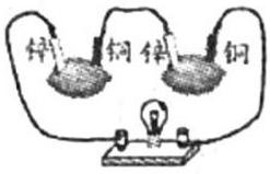 mp_855de7a579.jpg