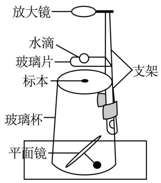 mp_86279516bc.jpg