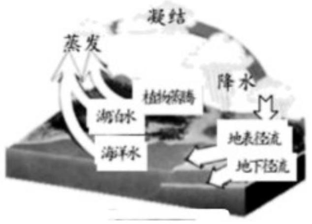 mp_8629b9d019.jpg