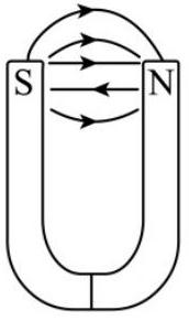 mp_877e407341.jpg