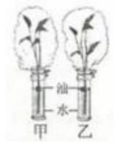 mp_87b394fdda.jpg