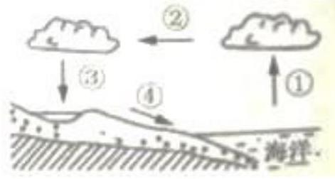 mp_89dc02eb3a.jpg