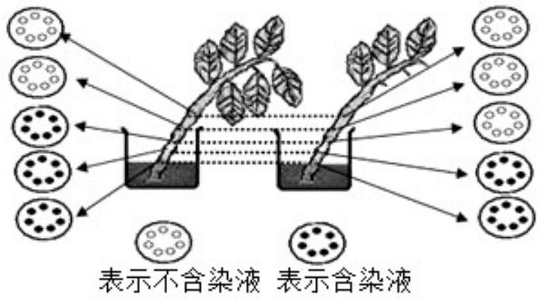 mp_8bc4eb4e41.jpg