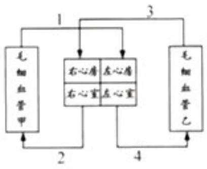mp_8c48e1e52e.jpg