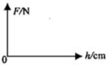 mp_8c596e297d.jpg