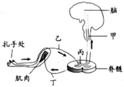 mp_8cfa47f637.jpg