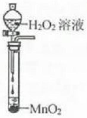 mp_8d57830f46.jpg