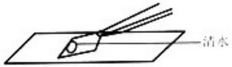 mp_906482e136.jpg