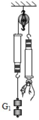 mp_90fc834975.jpg