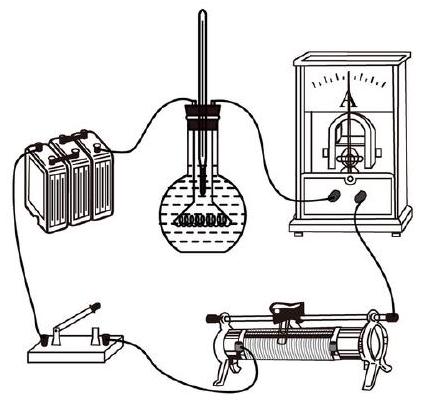 mp_919f26ece5.jpg