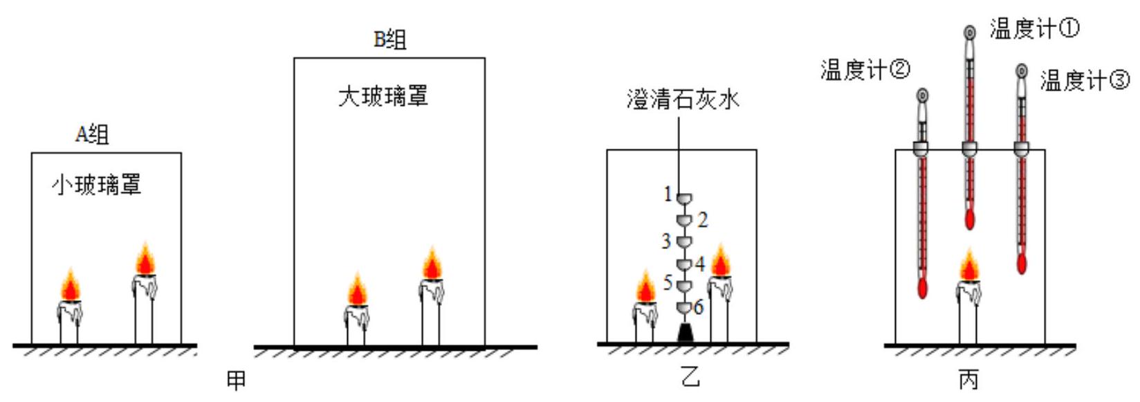 mp_91b1fe77d0.jpg