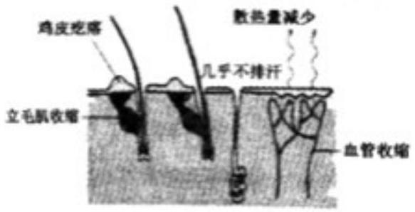 mp_9431d1ac76.jpg