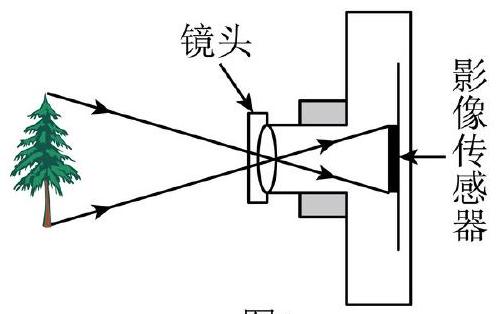 mp_948f862f6c.jpg