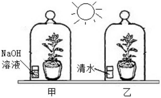 mp_94af2f0669.jpg