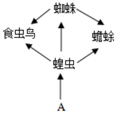 mp_94d61d6007.jpg