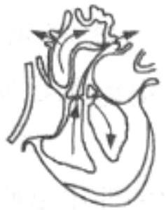 mp_951a25e359.jpg