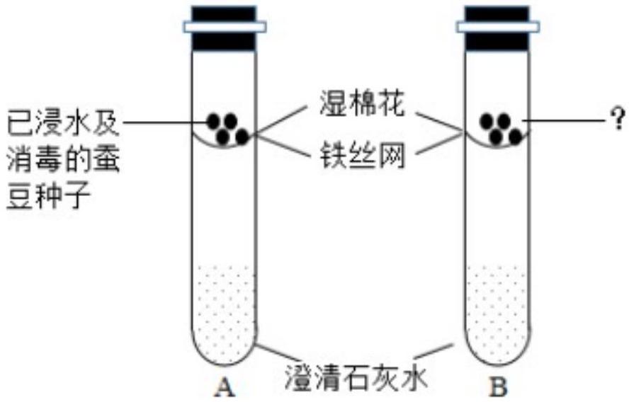 mp_95254fa61f.jpg