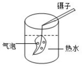mp_95b9d512bb.jpg