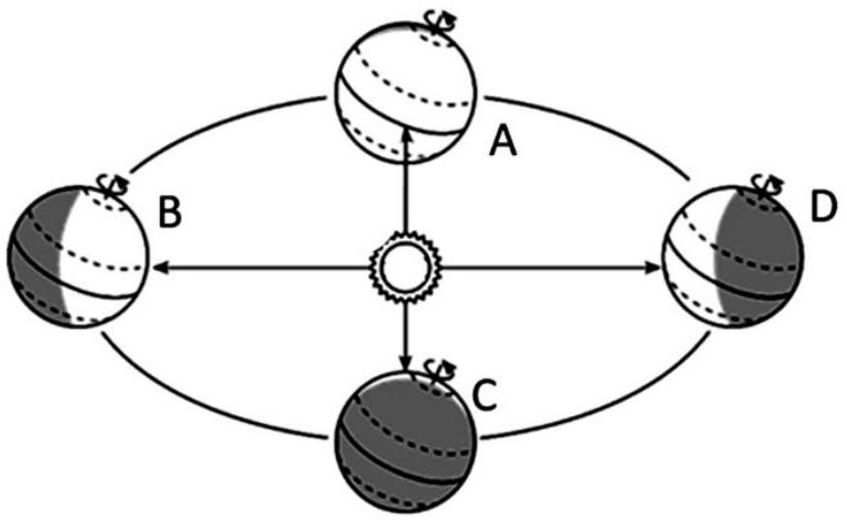 mp_95c0aff970.jpg
