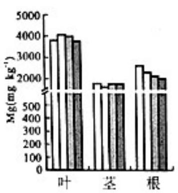 mp_9632b7c6fe.jpg