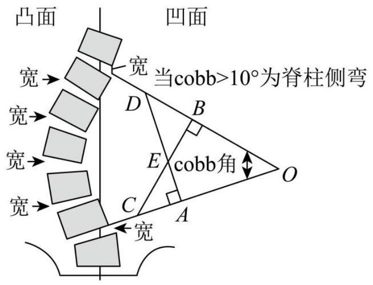 mp_968a45f4fe.jpg