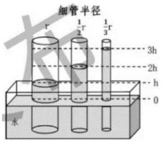 mp_97b1026ad0.jpg