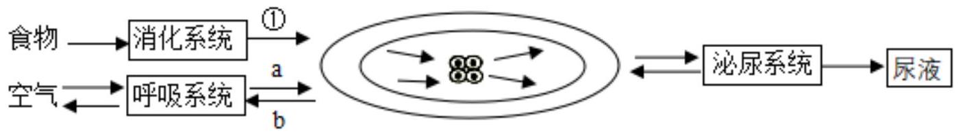 mp_983a5f235c.jpg