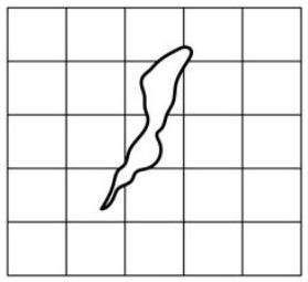 mp_9846e0d57f.jpg