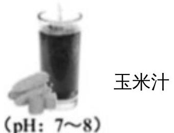 mp_996fbde71e.jpg