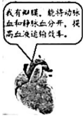 mp_9993b2f14c.jpg